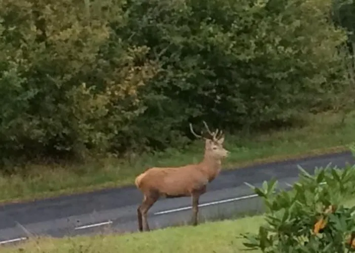 Confortable Avec Acces Facile, Proche Et Randonnee - Fr-1-589-137